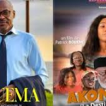 ARTICLE 8 — Le rôle des institutions culturelles dans le développement du cinéma gabonais : La vision ÉDIFICE 241